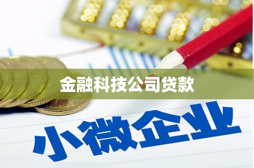 大甲金融科技公司贷款