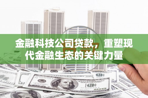 大甲金融科技公司贷款，重塑现代金融生态的关键力量