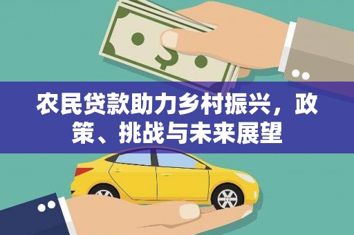 大甲农民贷款助力乡村振兴，政策、挑战与未来展望