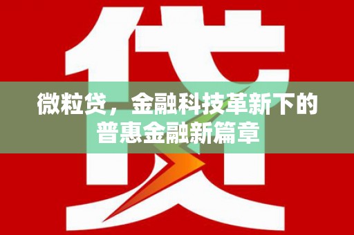 大甲微粒贷，金融科技革新下的普惠金融新篇章