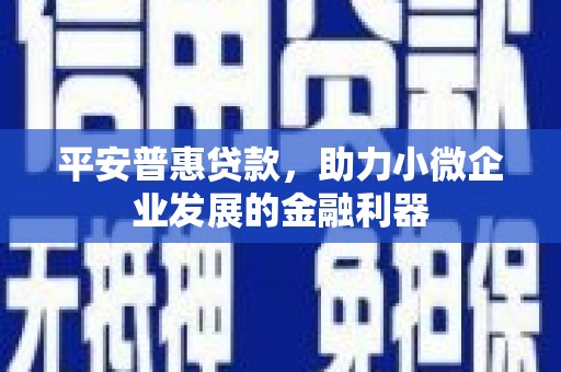 大甲平安普惠贷款，助力小微企业发展的金融利器