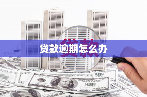 大甲贷款逾期怎么办