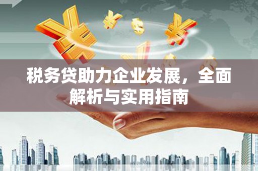 大甲税务贷助力企业发展，全面解析与实用指南
