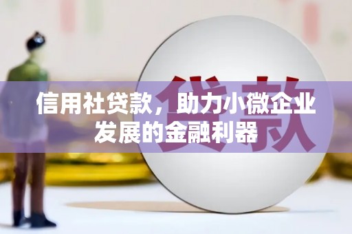 大甲信用社贷款，助力小微企业发展的金融利器