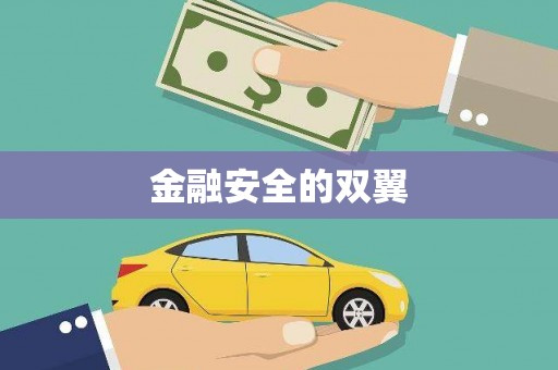 大甲金融安全的双翼