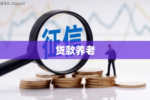 大甲贷款养老
