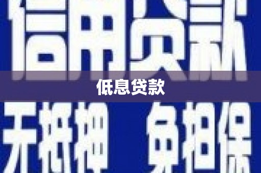 大甲低息贷款