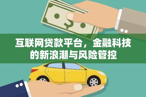 大甲互联网贷款平台，金融科技的新浪潮与风险管控