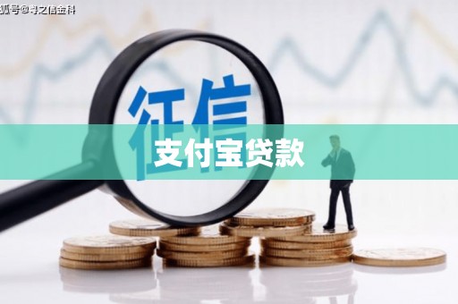 大甲支付宝贷款