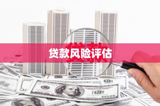 大甲贷款风险评估