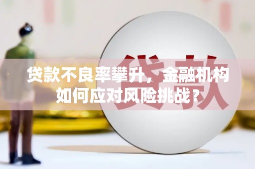 大甲贷款不良率攀升，金融机构如何应对风险挑战？