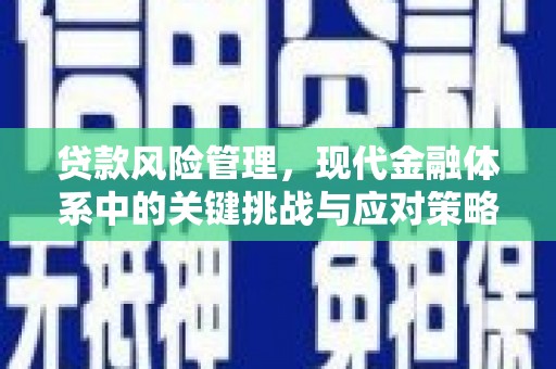 大甲贷款风险管理，现代金融体系中的关键挑战与应对策略
