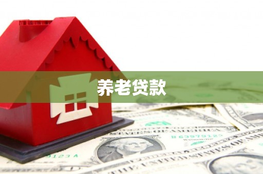 大甲养老贷款