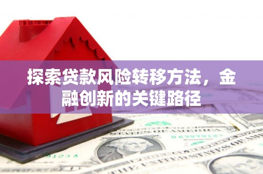 大甲探索贷款风险转移方法，金融创新的关键路径