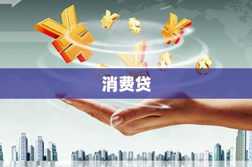 大甲消费贷