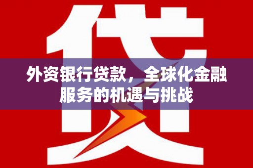 大甲外资银行贷款，全球化金融服务的机遇与挑战
