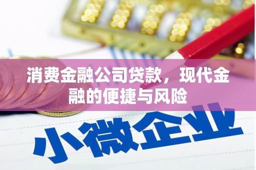 大甲消费金融公司贷款，现代金融的便捷与风险