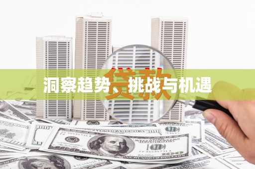 大甲洞察趋势、挑战与机遇
