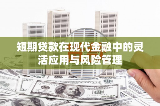 大甲短期贷款在现代金融中的灵活应用与风险管理
