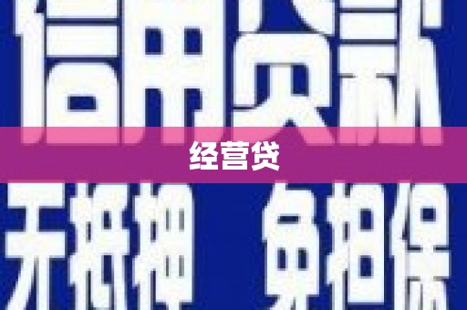 大甲经营贷