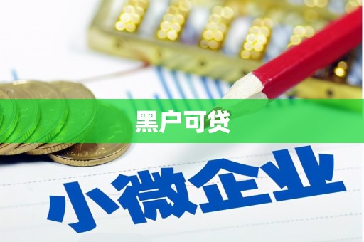 大甲黑户可贷