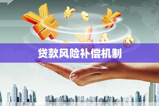 大甲贷款风险补偿机制