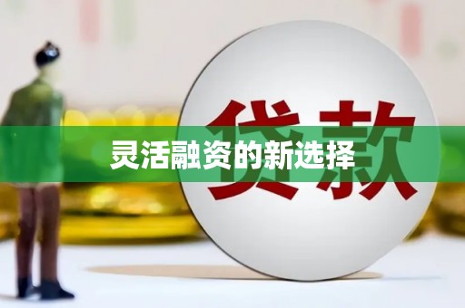 大甲灵活融资的新选择