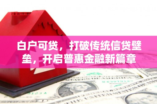 大甲白户可贷，打破传统信贷壁垒，开启普惠金融新篇章