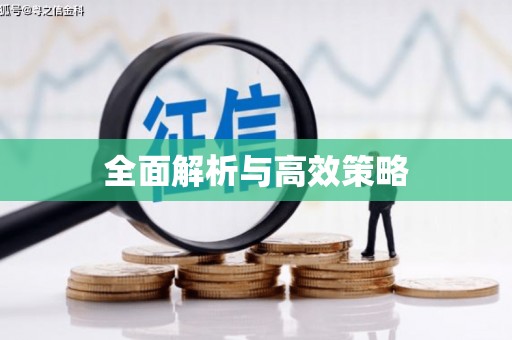 大甲全面解析与高效策略
