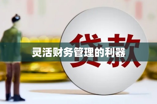 大甲灵活财务管理的利器