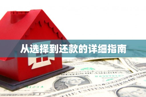 大甲从选择到还款的详细指南
