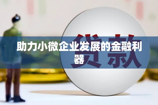 大甲助力小微企业发展的金融利器