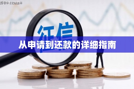 大甲从申请到还款的详细指南