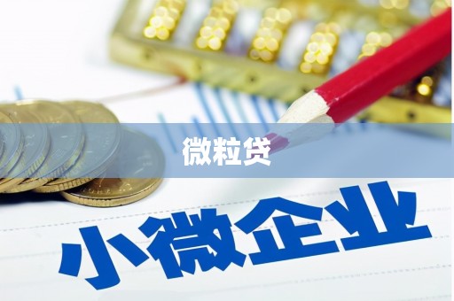 大甲微粒贷