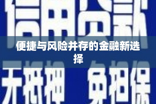 大甲便捷与风险并存的金融新选择