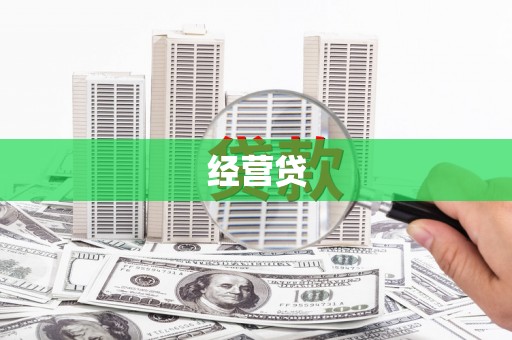 大甲经营贷