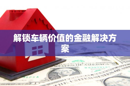 大甲解锁车辆价值的金融解决方案