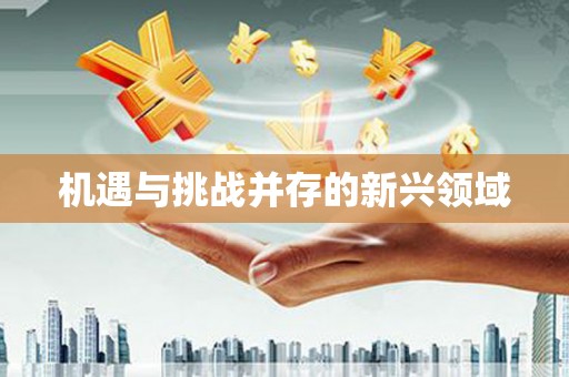 大甲机遇与挑战并存的新兴领域
