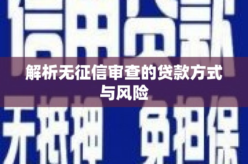 大甲解析无征信审查的贷款方式与风险
