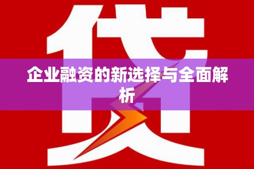 大甲企业融资的新选择与全面解析