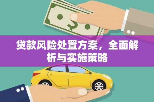 大甲贷款风险处置方案，全面解析与实施策略