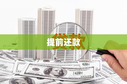 大甲提前还款